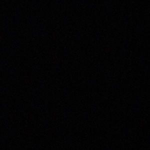 Meet your Posher, Tasha